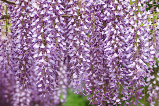 832454 (a): :2400x1600